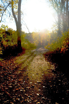 A New Path for Learning: Photo by Brittany Dengerud